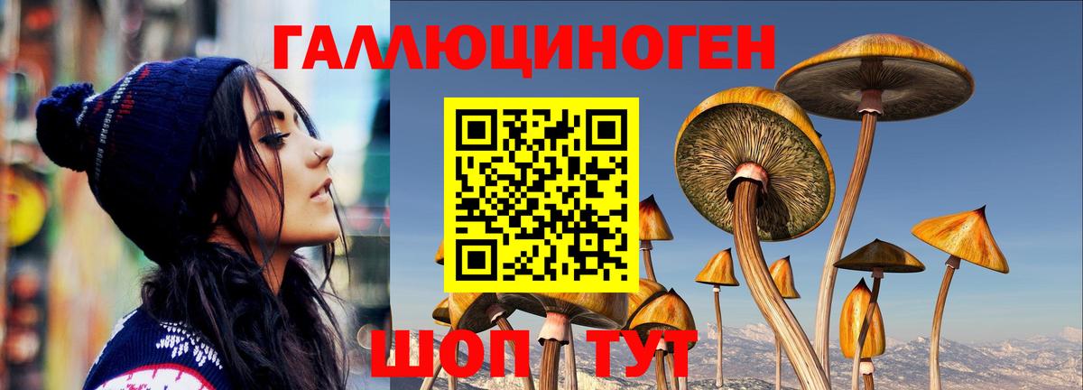 Псилоцибиновые грибы мицелий  Псилоцибиновые грибы ЛСД  Вход с VPN  Сердобск 